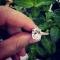 Gold Engagement Rings | Italo Oval Rose Gold Created White Sapphire Engagement Ring