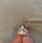 Wedding Rings Free Shipping | Italo Three Stone Emerald Created White Sapphire Engagement Ring
