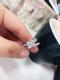 Buy Bridal Jewellery Sets on italojewelry | Classic Eternity Princess Created White Sapphire Bridal Set